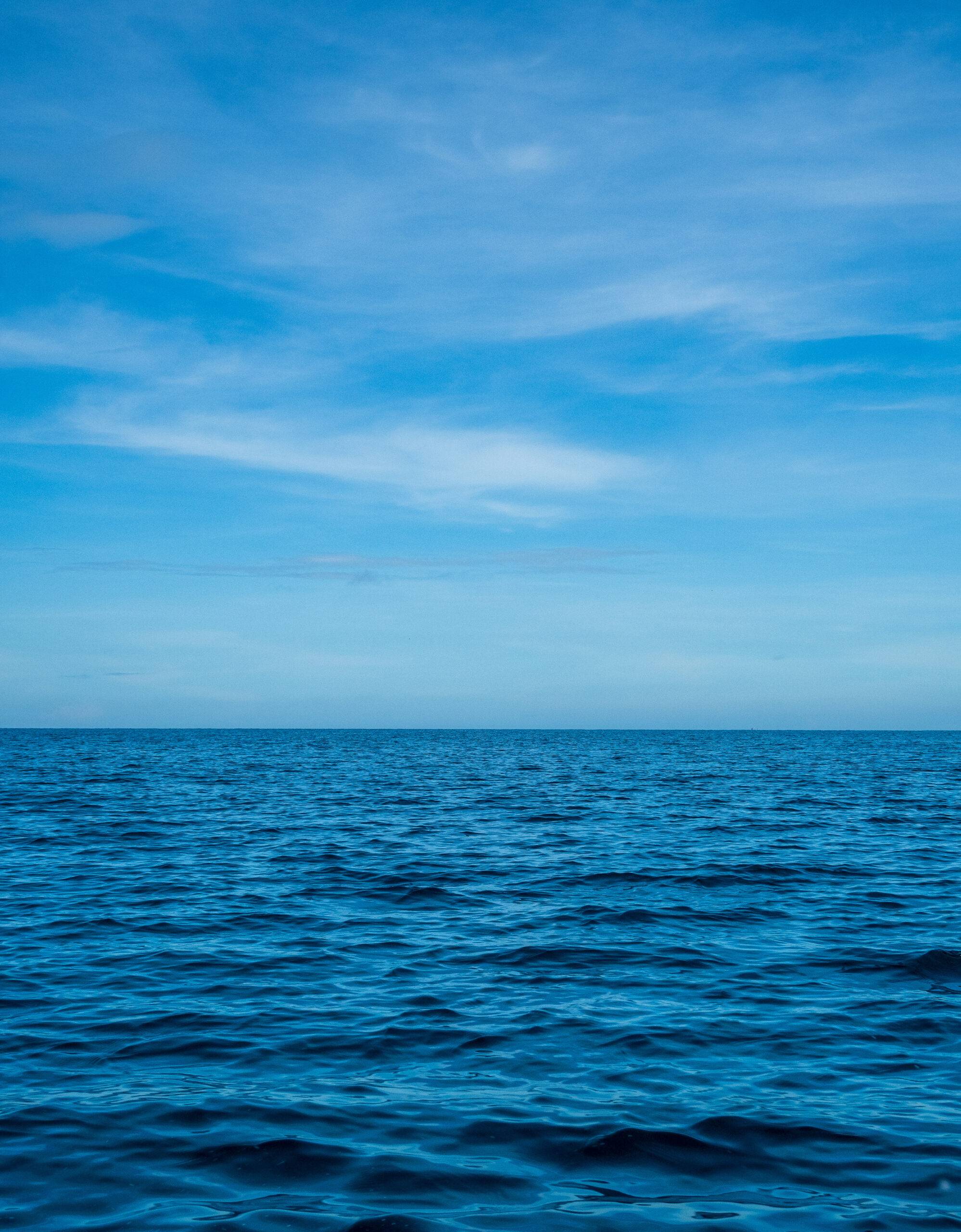 EMERGING RISKS  IN MARINE  DECARBONISATION: Time to set sail Image