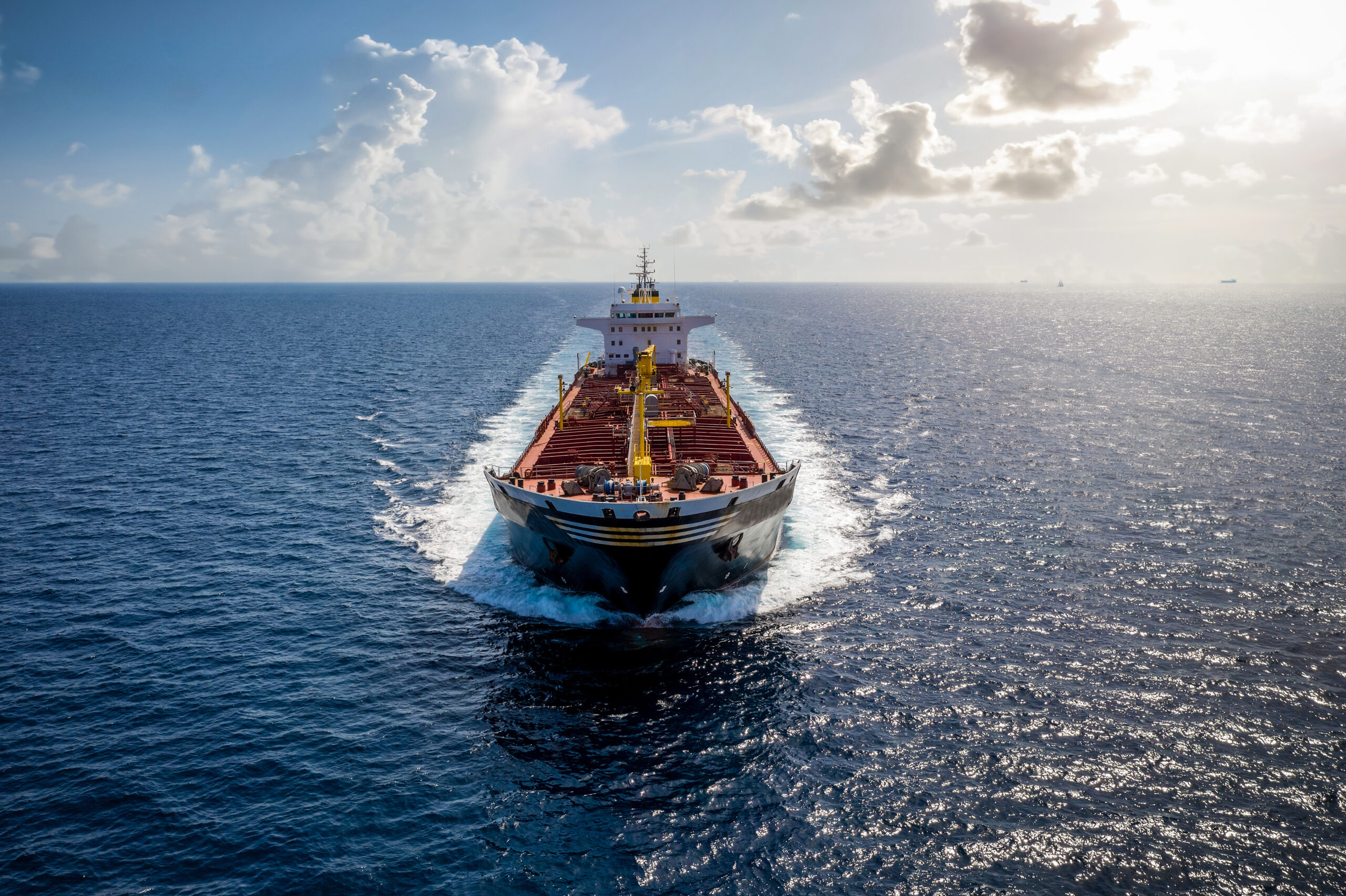 Policy Bulletin 001: Eco-ships investment and price differentials Image